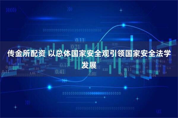 传金所配资 以总体国家安全观引领国家安全法学发展