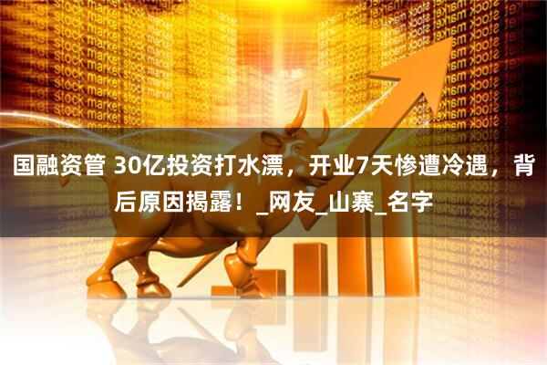 国融资管 30亿投资打水漂，开业7天惨遭冷遇，背后原因揭露！_网友_山寨_名字