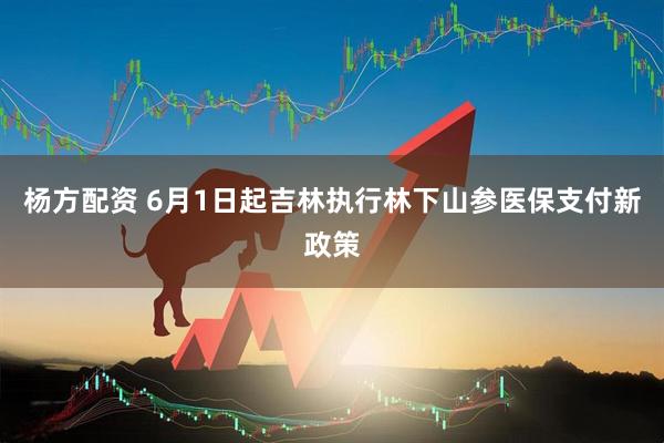 杨方配资 6月1日起吉林执行林下山参医保支付新政策