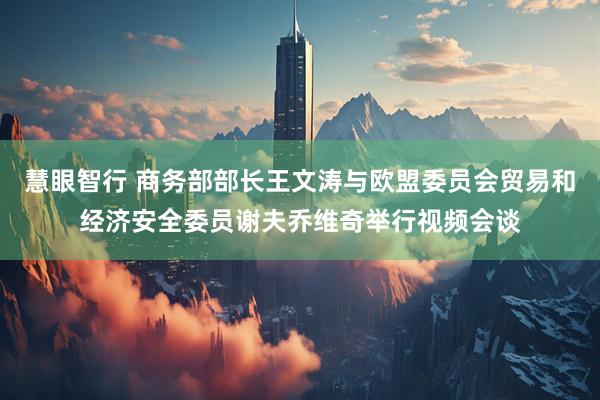 慧眼智行 商务部部长王文涛与欧盟委员会贸易和经济安全委员谢夫乔维奇举行视频会谈